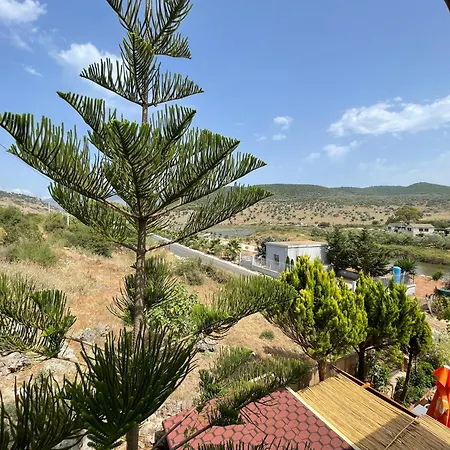 Vila Koal *